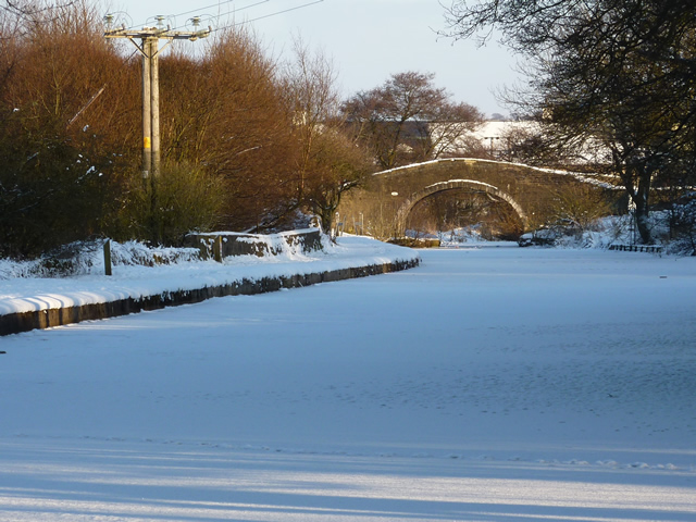 Canal Bridge